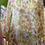 Thumbnail: The Aster kurta set - Offwhite/ Ivory