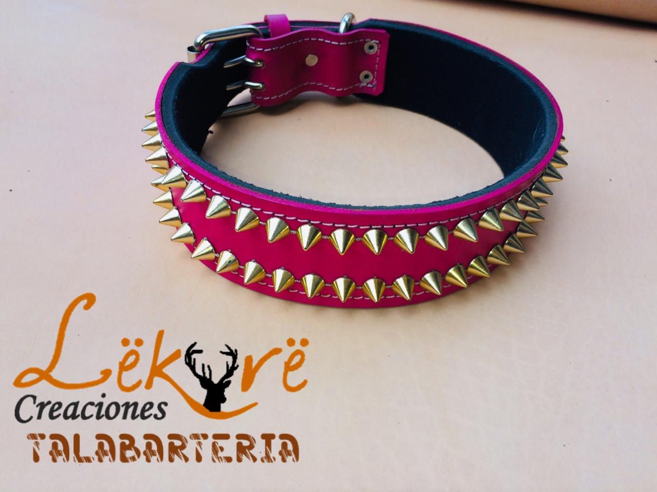 Collar con púas para perro
