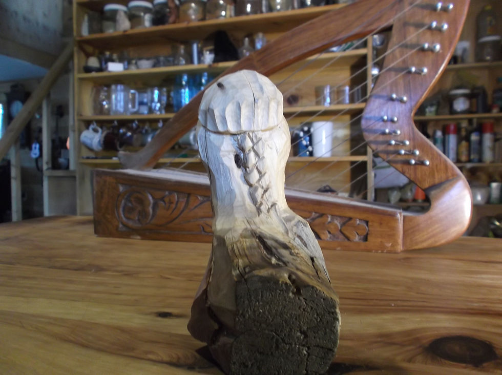 Thumbnail: The Herbologist