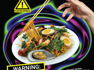 Meow Wolf Floating Noodles