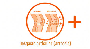 desgaste articular