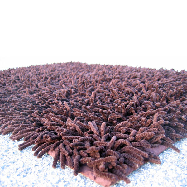 Rug Cleaning