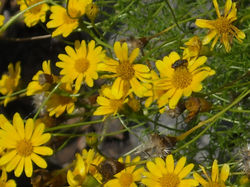 DSCN0810.JPG