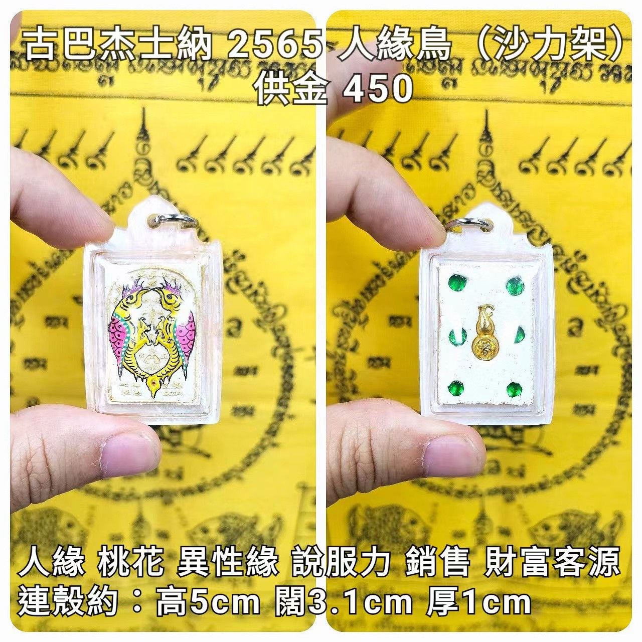 古巴杰士納 2565 人緣鳥(沙力架)