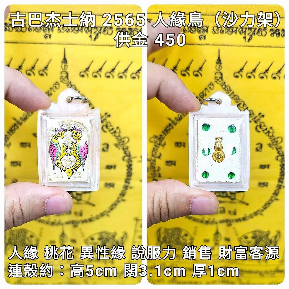 古巴杰士納 2565 人緣鳥(沙力架)