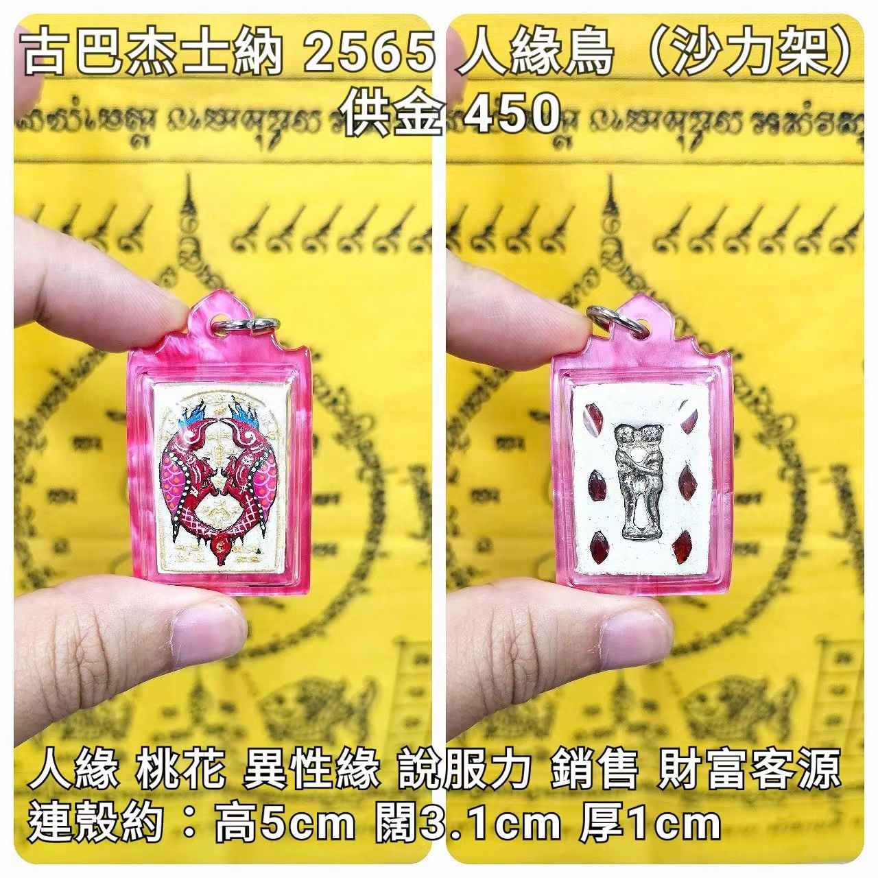 古巴杰士納 2565 人緣鳥(沙力架)