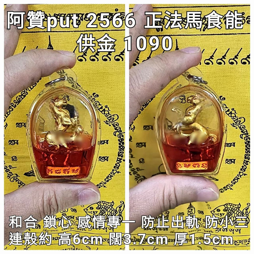 阿贊put 2566 正法馬食能立尊