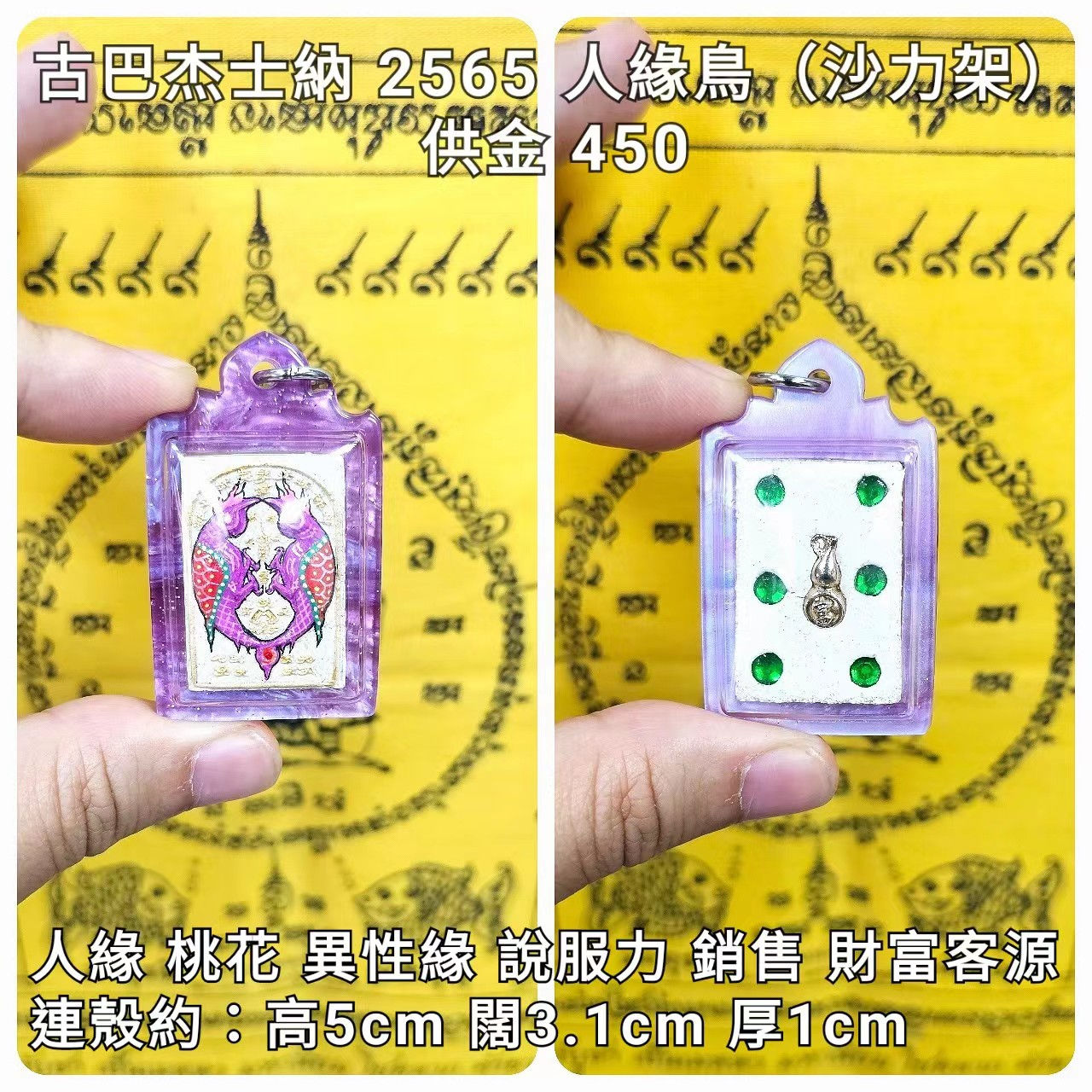 古巴杰士納 2565 人緣鳥(沙力架)