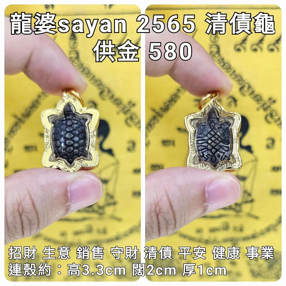 龍婆sayan 2565 進財清債財龜