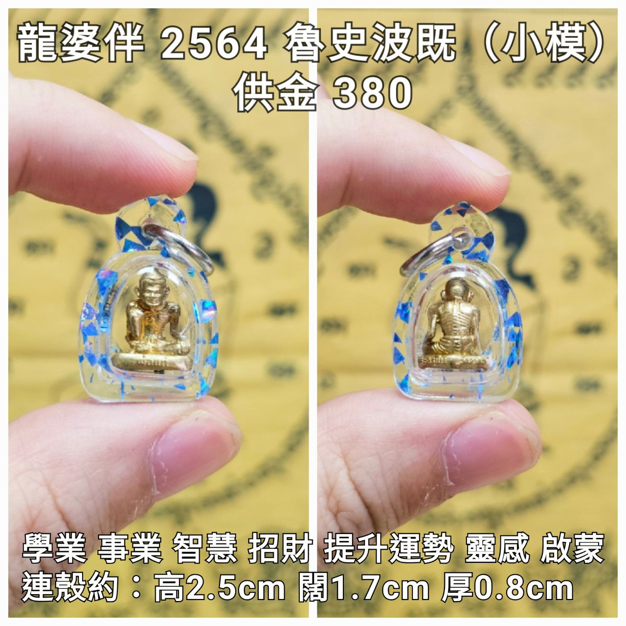 龍婆伴 2564 魯史波既（小模）