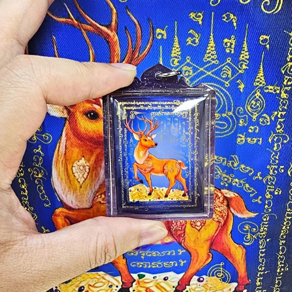 縮圖：阿贊Aor 2566 回頭鹿牌
