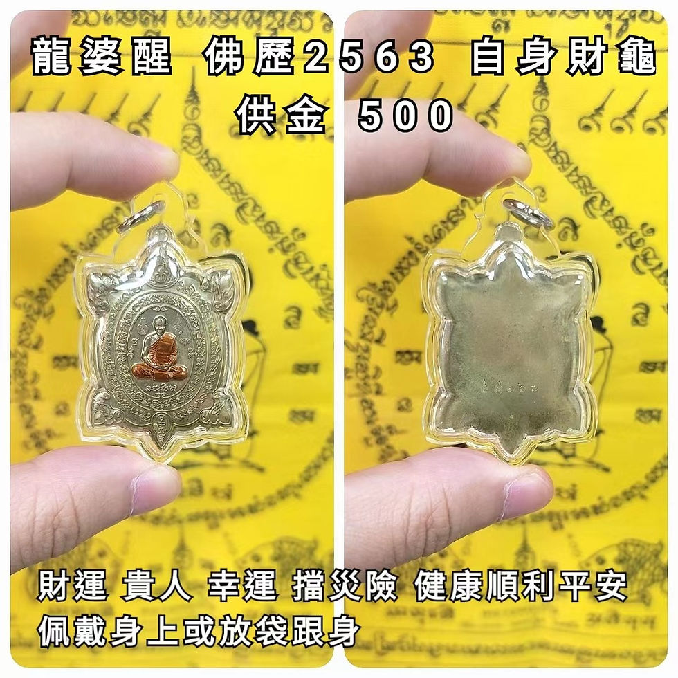 縮圖：龍婆醒 wat lahan yai 2563 自身財龜