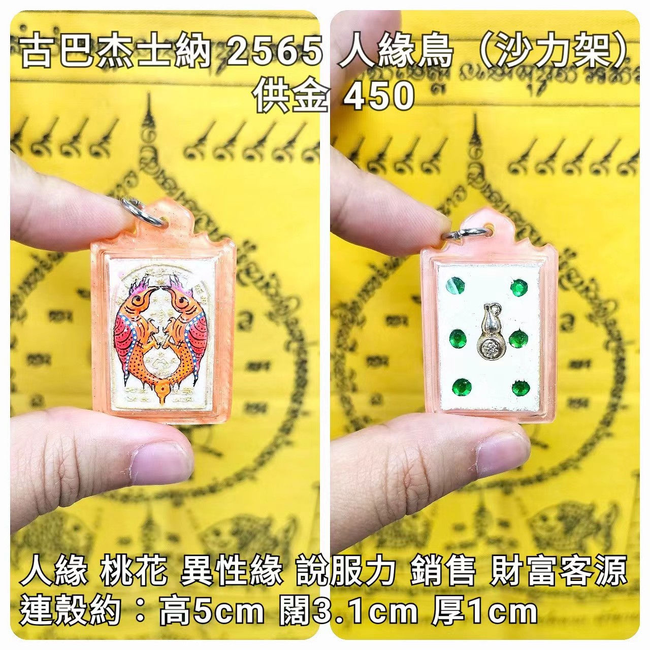 古巴杰士納 2565 人緣鳥(沙力架)