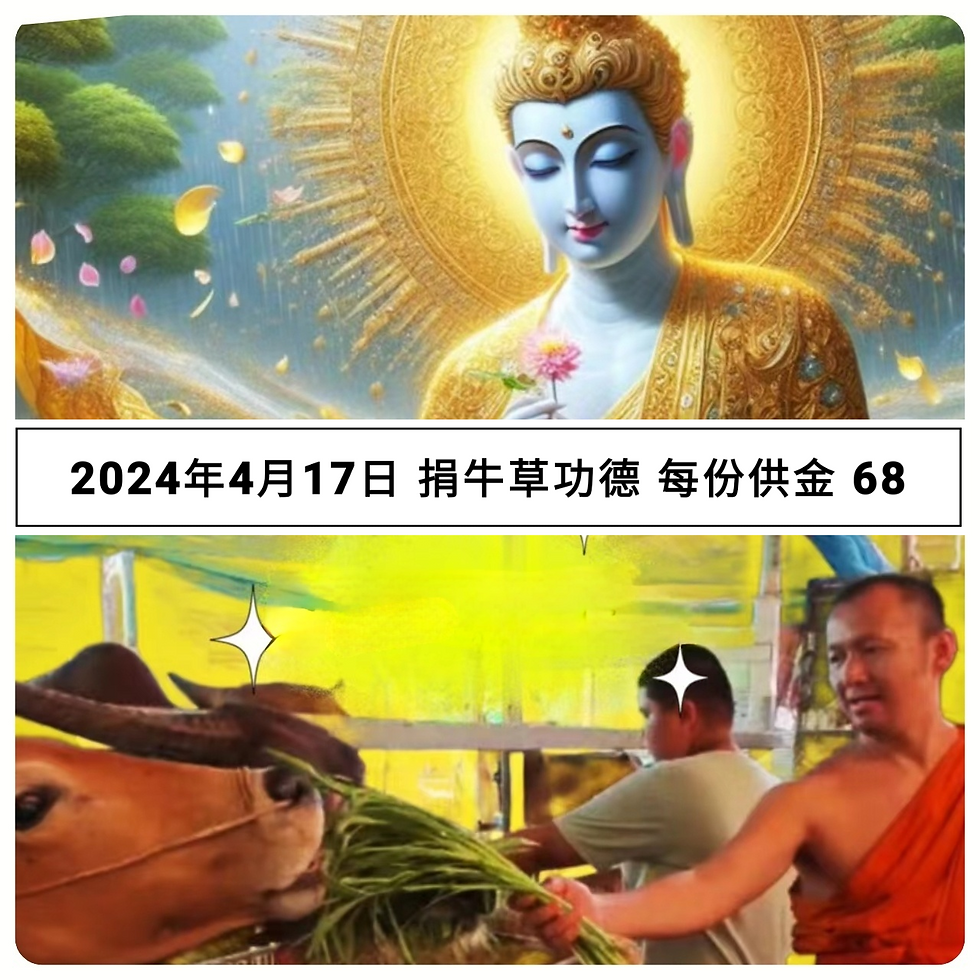 2024年4月17日 捐牛草功德