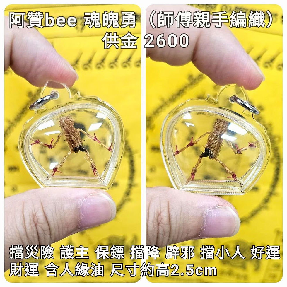 阿贊bee 魂魄勇(師傅親編織入法)