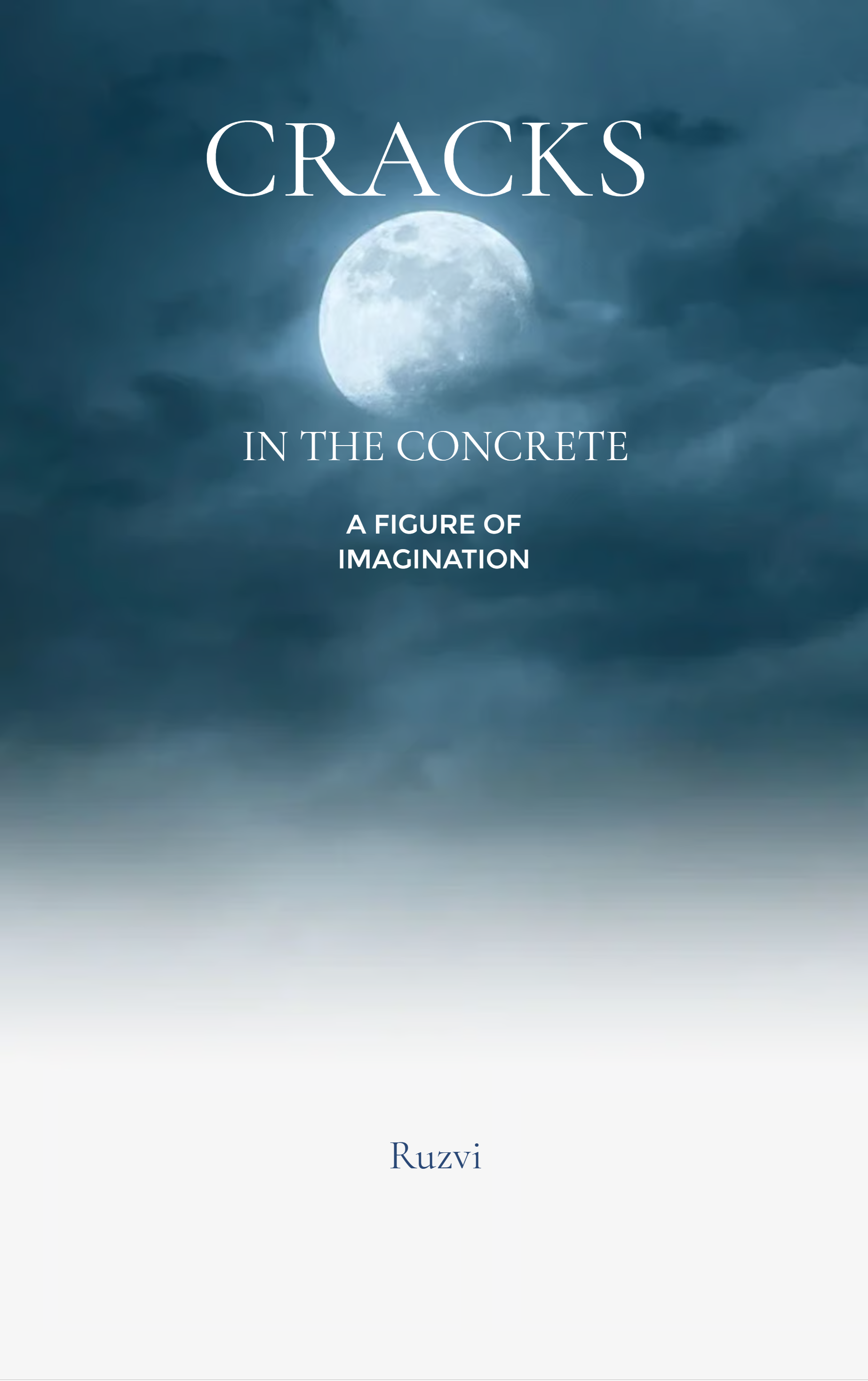 Cracks in the Concrete-A figure of imagination