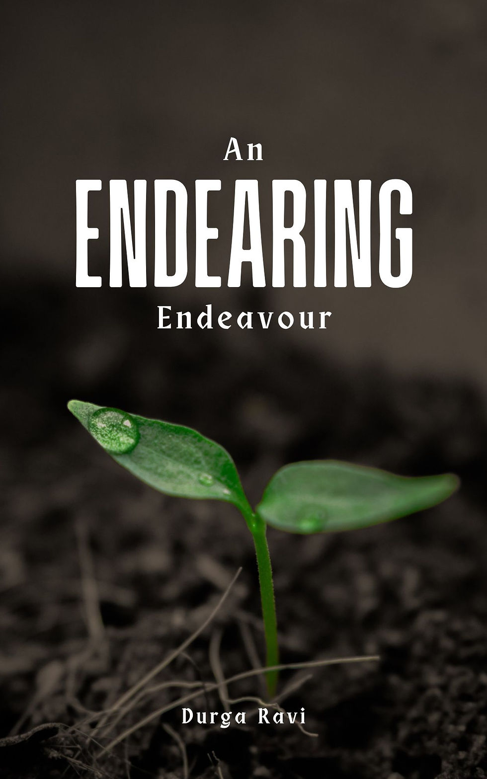 An Endearing Endeavour