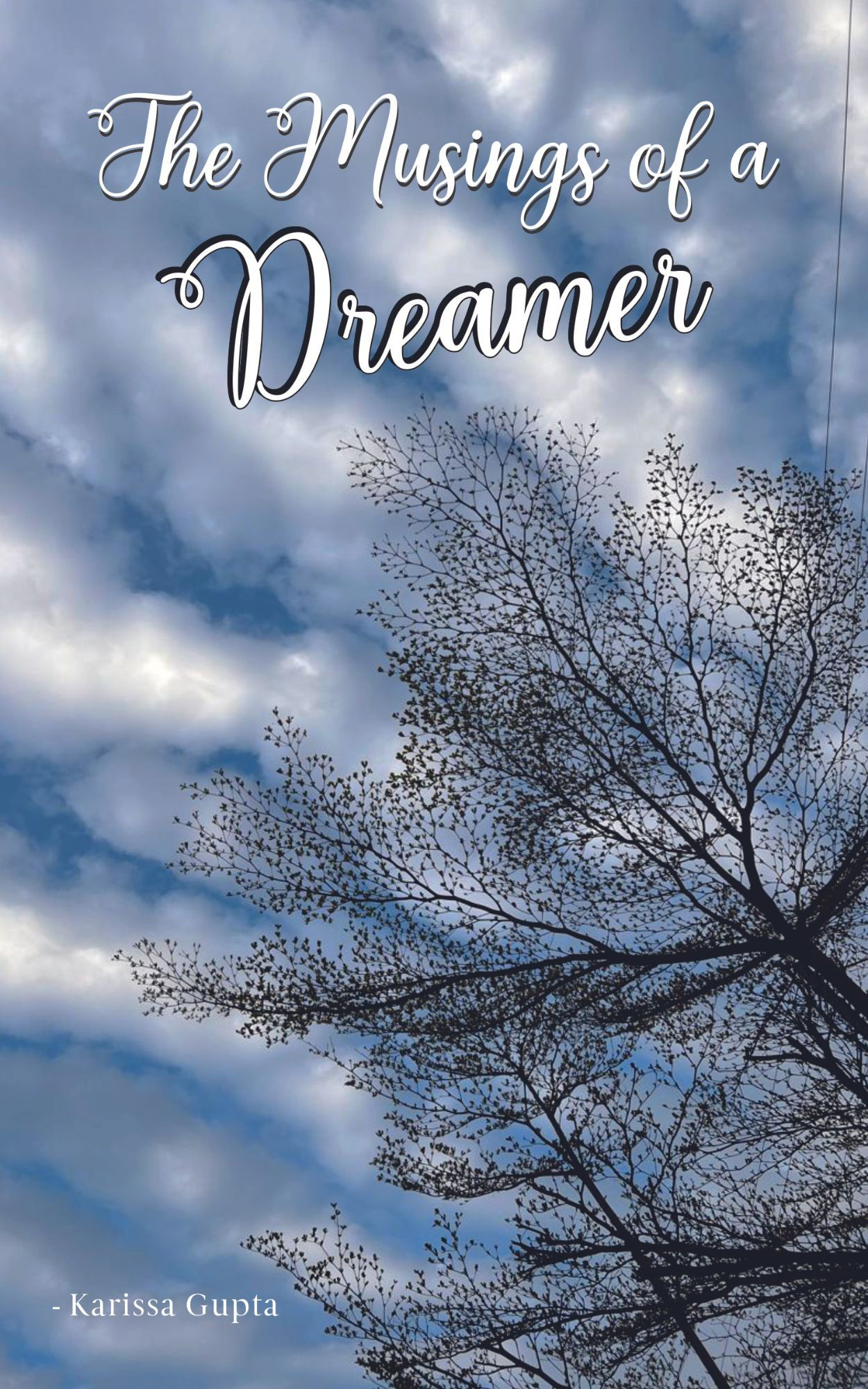 Musings of a Dreamer