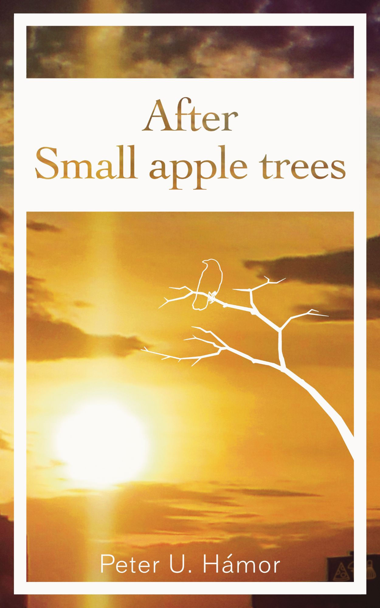 After Small apple trees