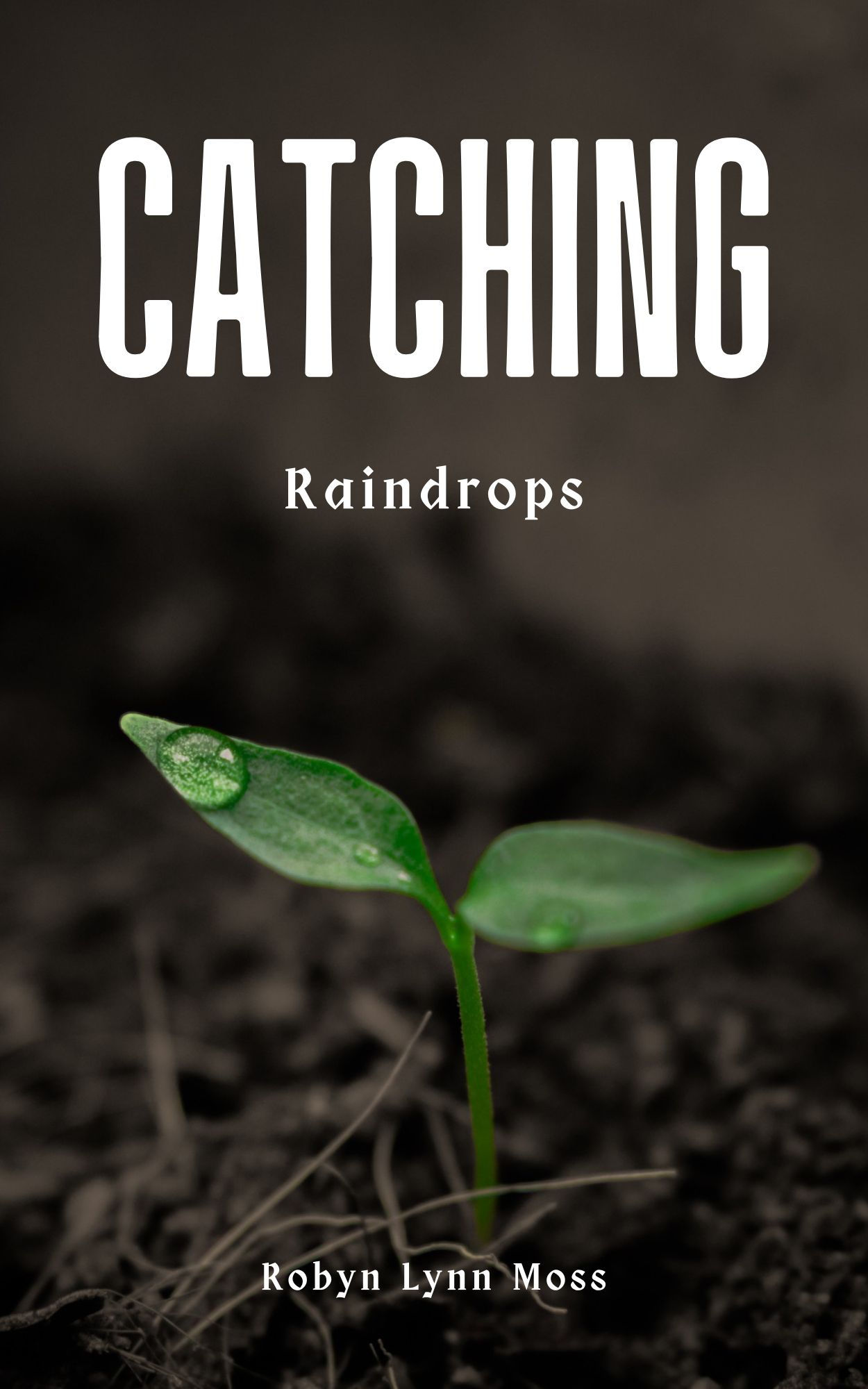 Catching Raindrops