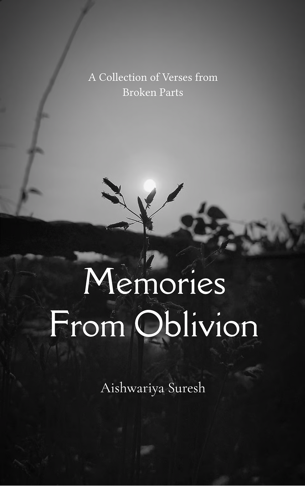 Memories From Oblivion-A Collection of Verses from Broken Parts