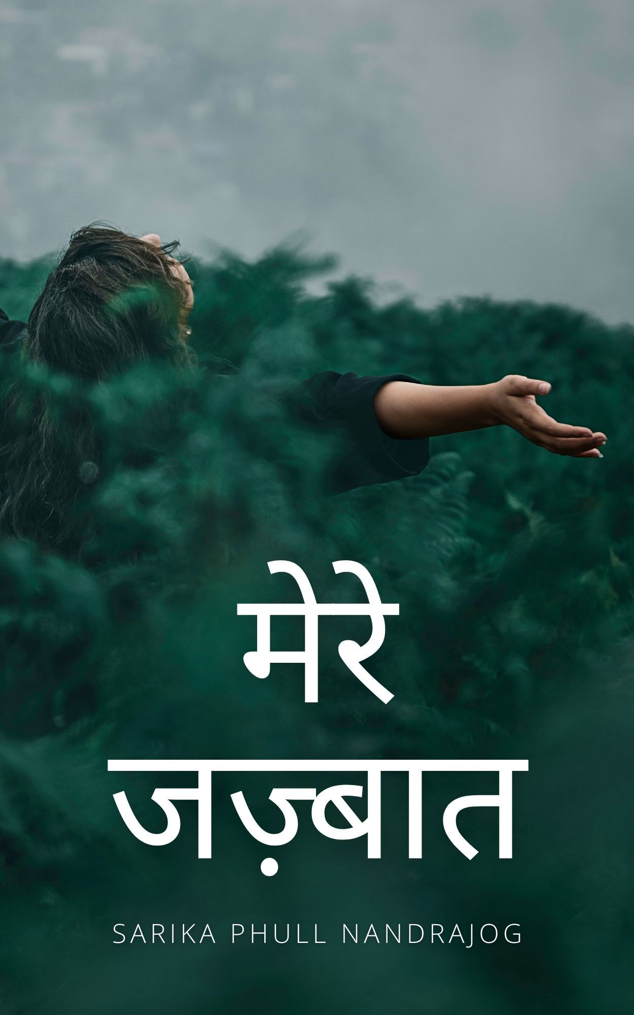 मेरे जज़्बात