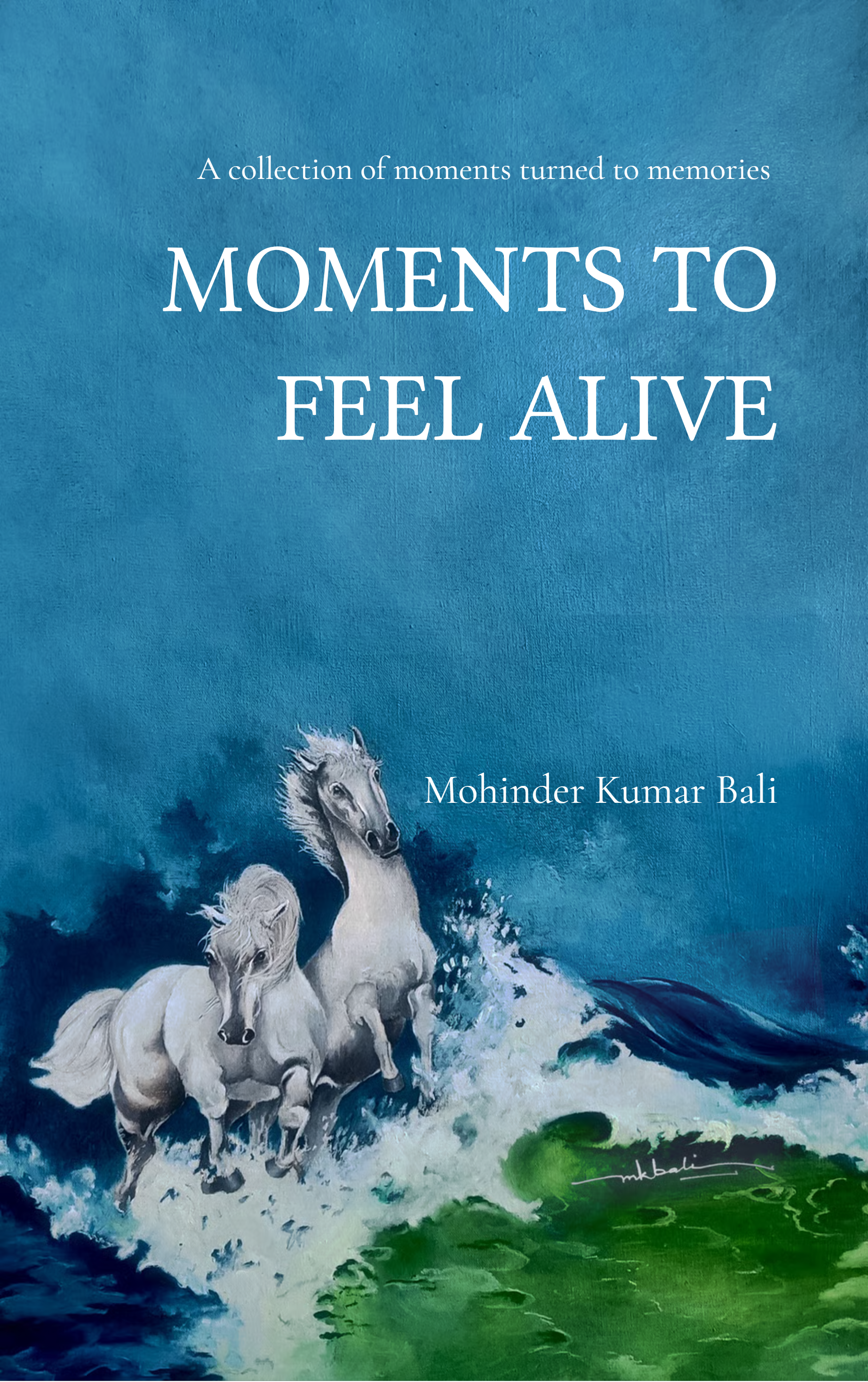 MOMENTS TO FEEL ALIVE-A collection of moments turned to memories
