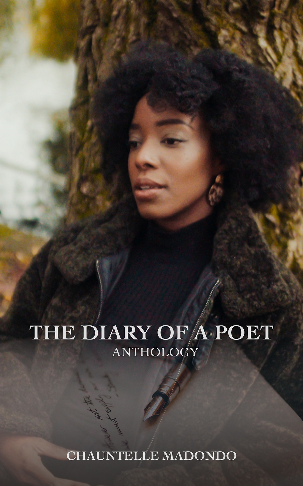 The Diary of a Poet