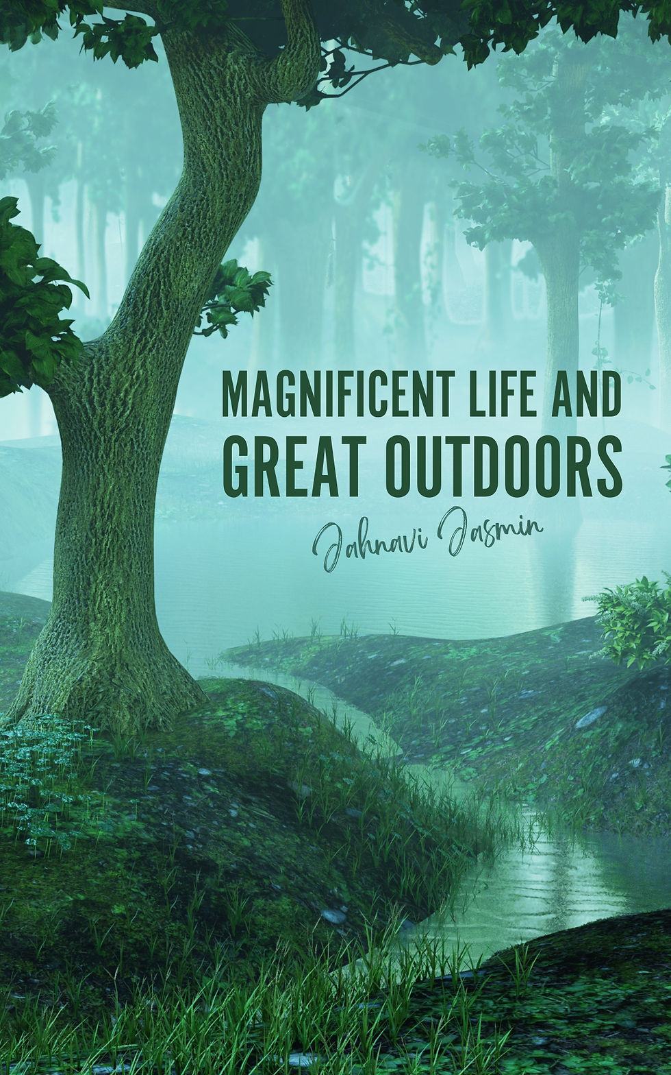 Thumbnail: Magnificent Life and Great Outdoors
