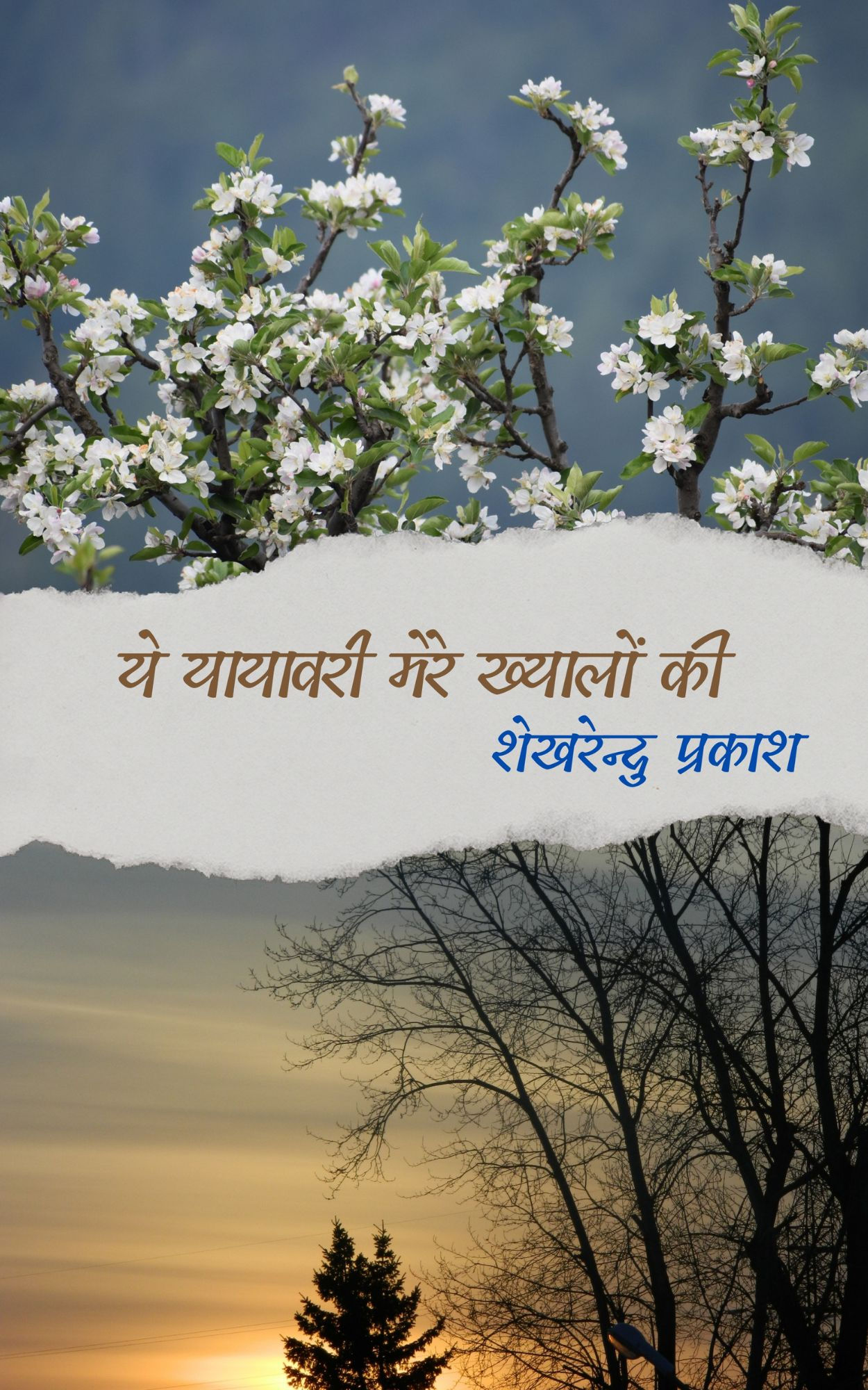 ये यायावरी मेरे ख्यालों की