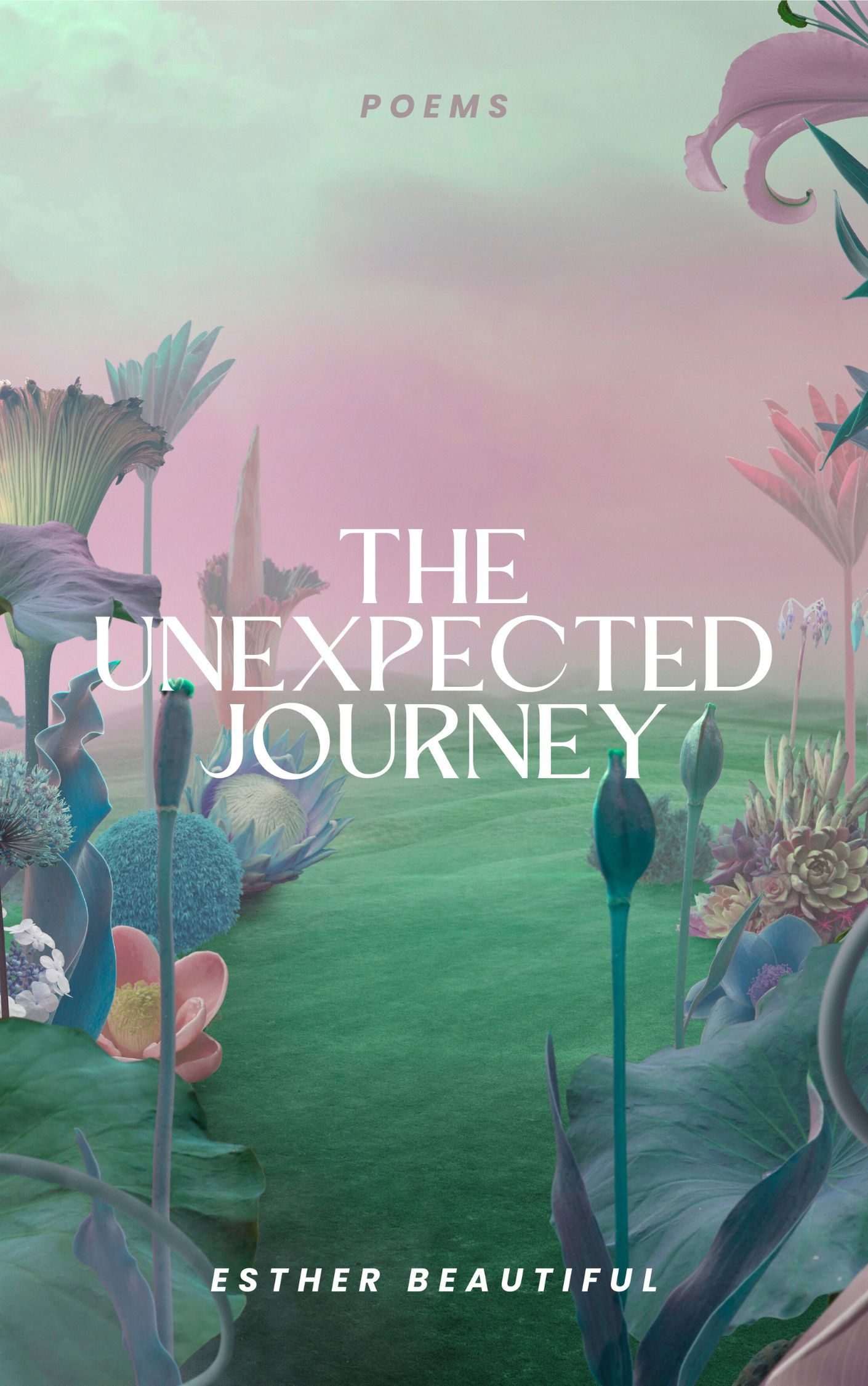 The Unexpected Journey