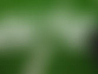 From Walk-On to the NFL: Mitch Unrein’s Journey of Faith, Family, and Perseverance