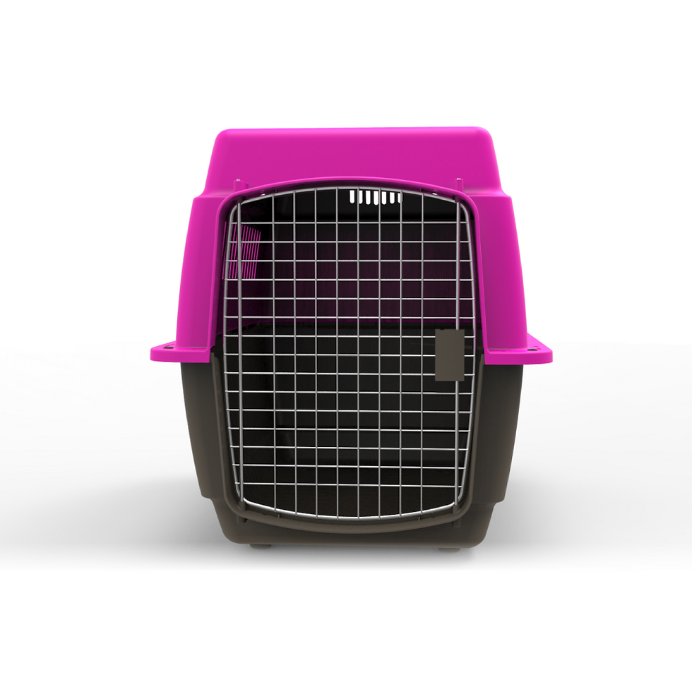 TRANSPORTADORA KENNEL MEDIANA