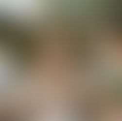 Why Women’s Retreats Are Having a Moment (and Why You Should Create One)