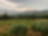 7F0F1E45-58C7-4AC7-B4A1-603C60FBB476.heic