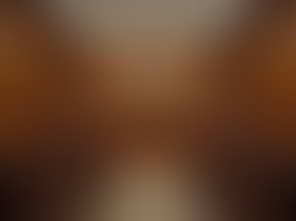 The Work of Criminal Defense Lawyers: Exploring Criminal Legal Strategies