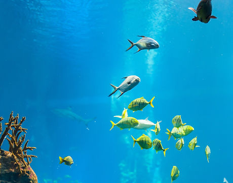 Under Water