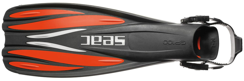Seac GP 100