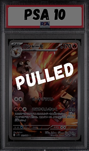 16.png