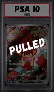 59.png