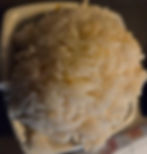 Seasoned Rice