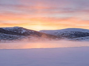 2025 Year End Review