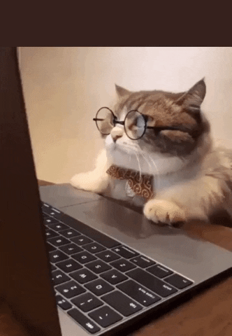 Nohatespeech Nohate GIF by Democratic Meme Factory.gif