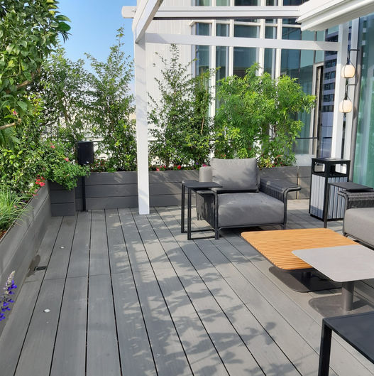 WhatsApp Image 2022-12-28 at 12.03.26.jpeg