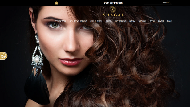 חנות אינטרנטית