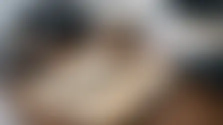 מתי המשטרה סוגרת תיק ומה משמעות ההחלטה