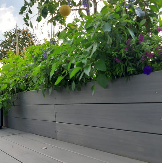 WhatsApp Image 2022-12-28 at 12.01.39.jpeg