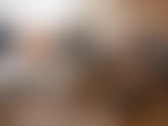 הסדר טיעון מול ניהול משפט - מה עדיף?
