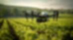 lush-green-farmland-being-surveyed-by-drone-precision-agriculture.jpg