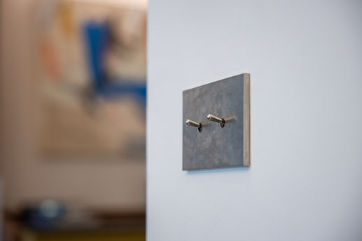 עותק של tal-zelicovitch-193.jpg